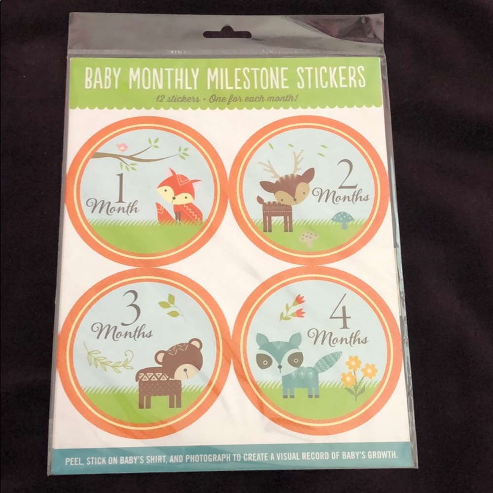 Baby monthly milestone stickers
